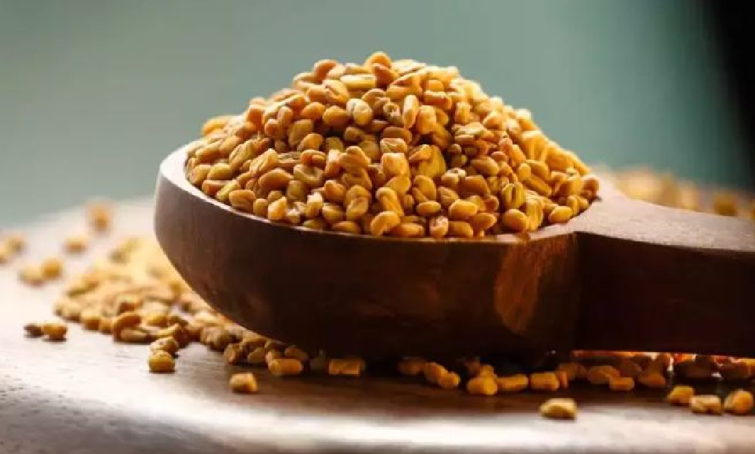 الحلبة