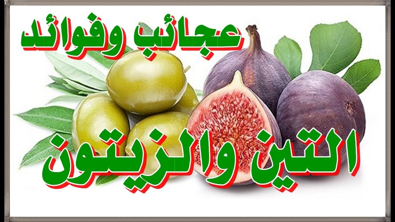 التين والزيتون