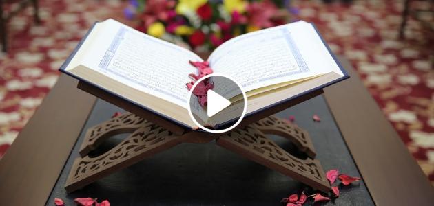 أفضل سورة تقرأ بعد الفجر ثوابها يعادل قراءة القرآن كله 10 مرات؟.. شاهد ماهي