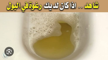 رغوة في البول