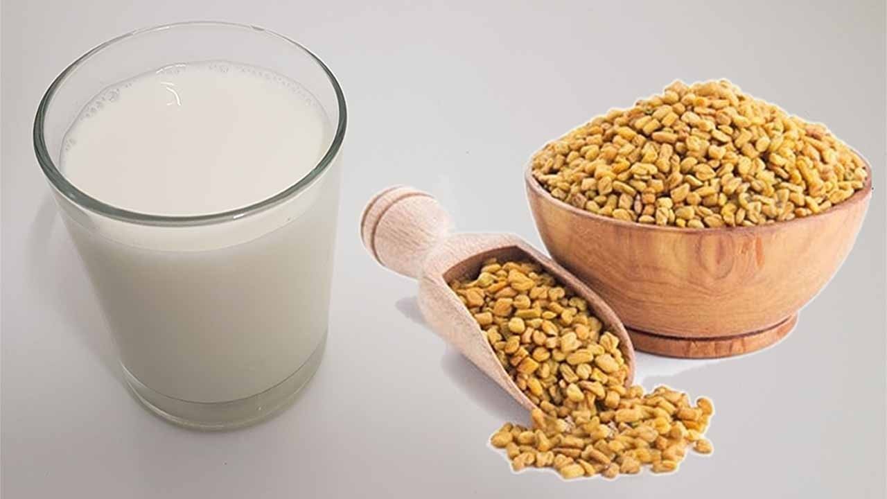 الحلبة بالحليب