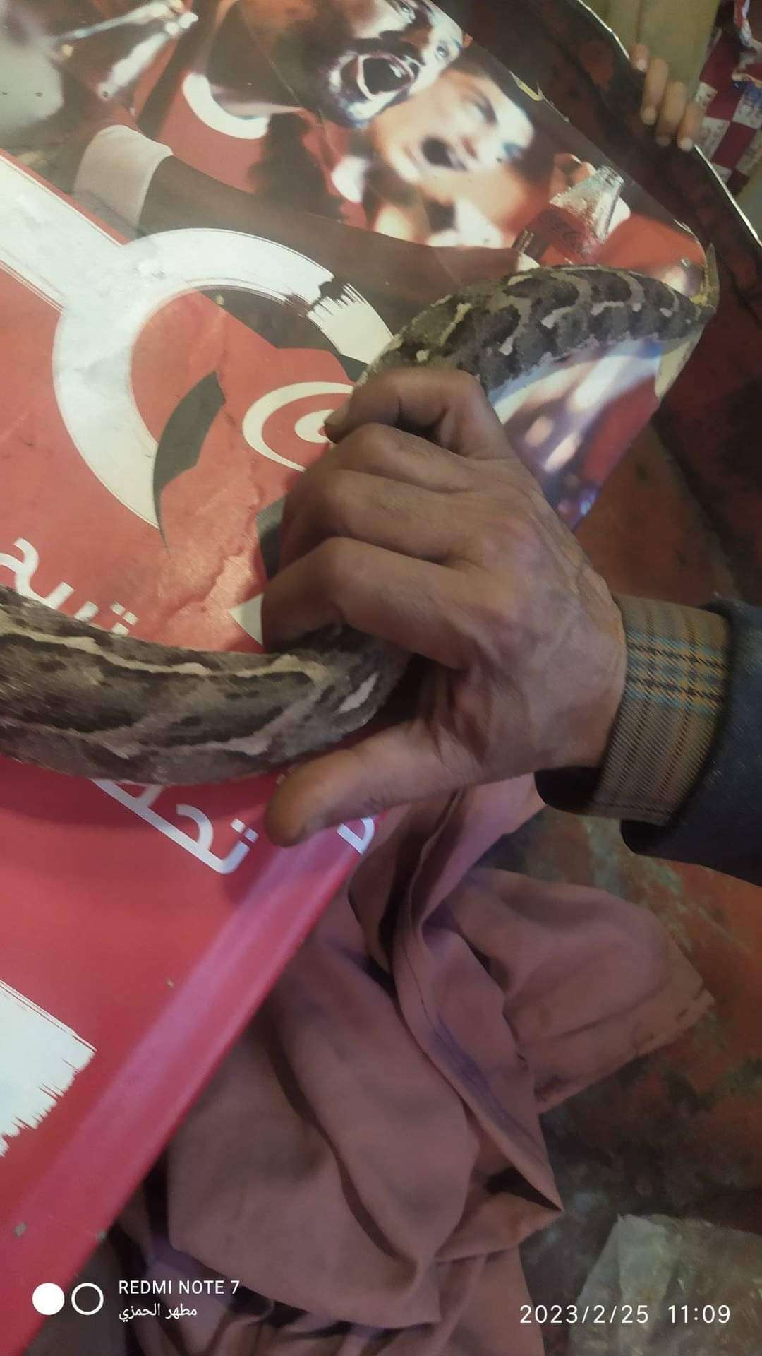 اليمن : لن تصدق ماذا فعل هذا الشاب للحصول على القات بعد ان رفض البائع اعطائه مجان ويثير الرعب(صور)