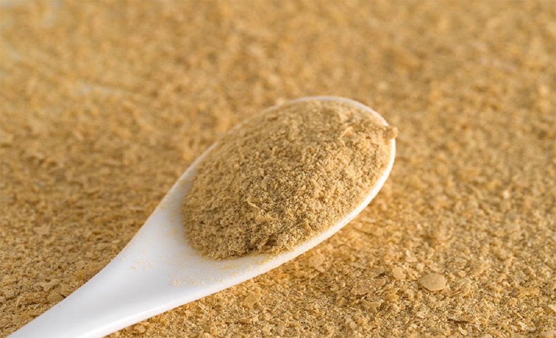خميرة البيرة