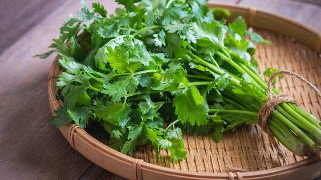 عشبة معجزة بسعر التراب تزيل السموم من الجسم نهائياً وتمنع ارتفاع سكر الدم ولها فوائد أخرى