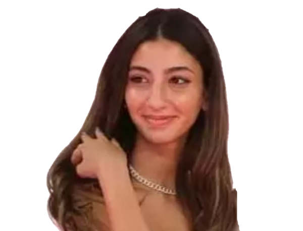 لي لي أحمد زكي