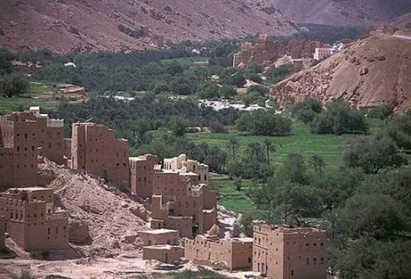 خبر سار ..اول محافظة يمنية تقوم بهذا الأمر لتغطية احتياجات اليمن 