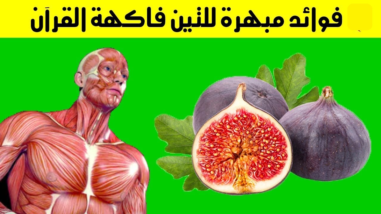 فاكهة التين