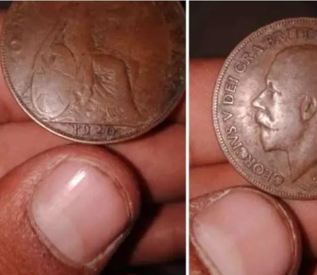 مصري يعرض عملية نادرة للبيع تخطت 2 مليون جنيه 