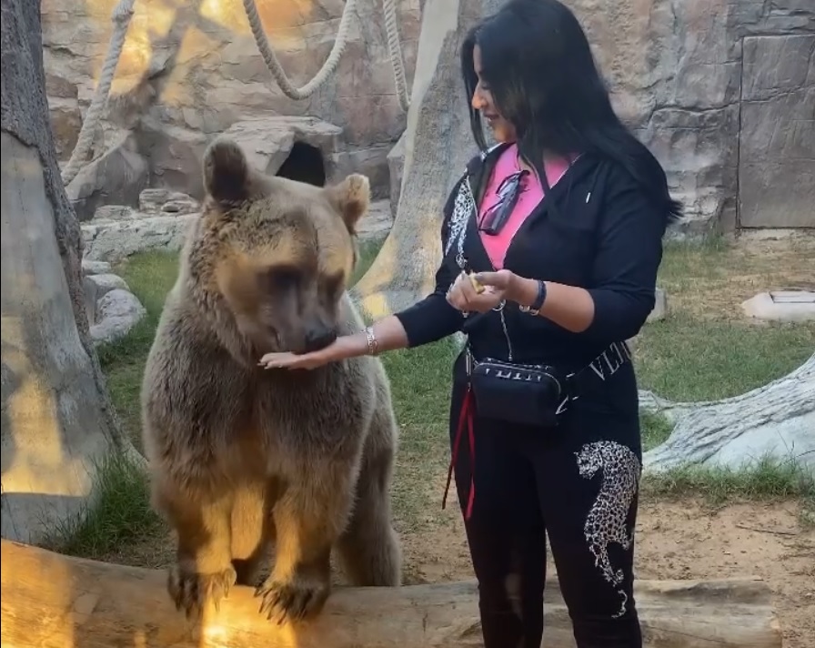 سمية الخشاب والدب