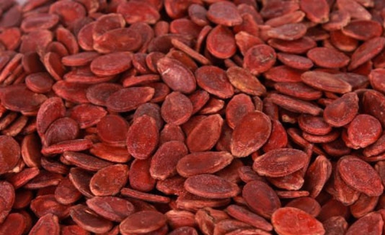 بذور البطيخ