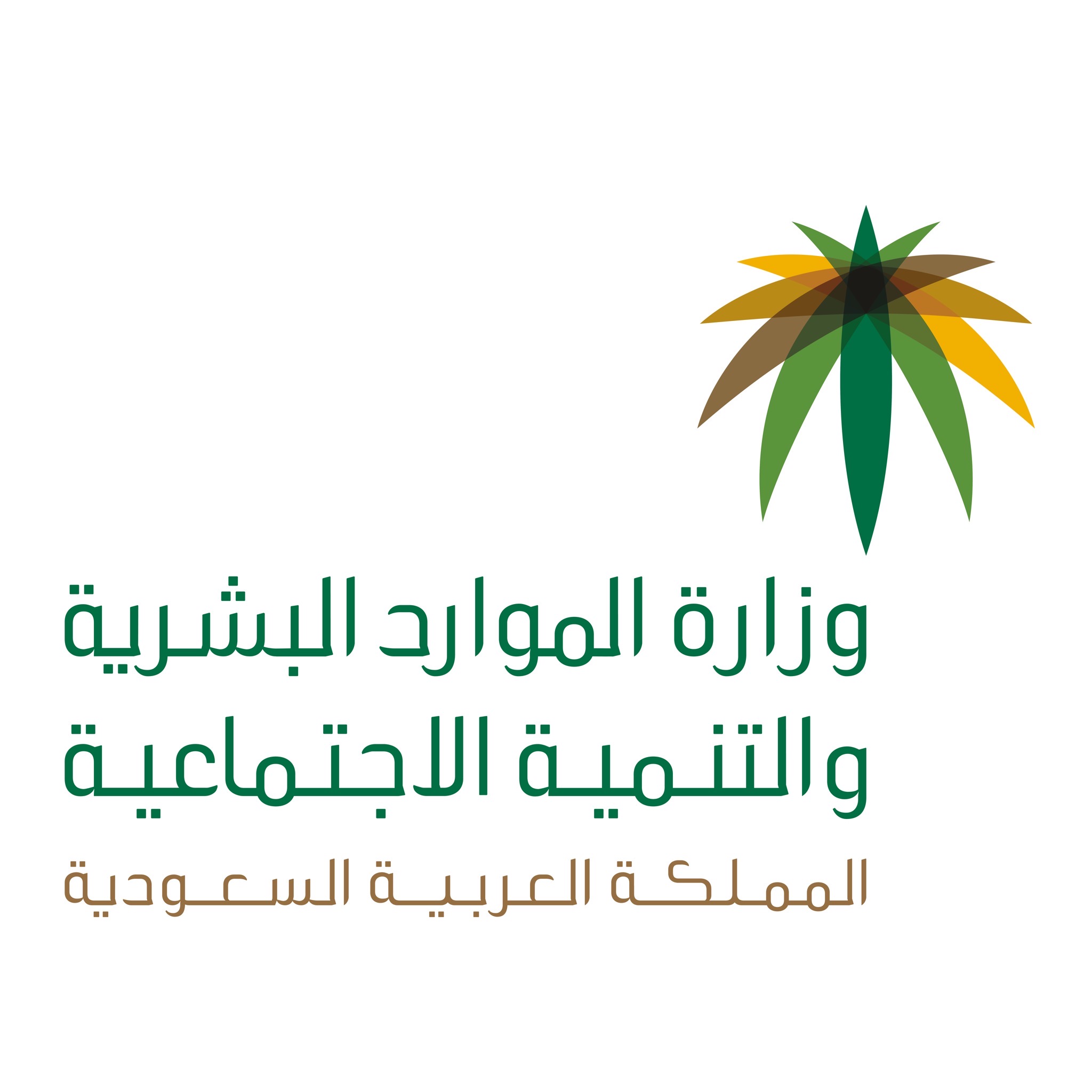 بشرى كبرى من السعودية لجميع المواطنين.. احصل على أي وظيفة من اليوم بدون هذه الإجراءات