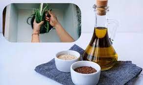 زيت السمسم