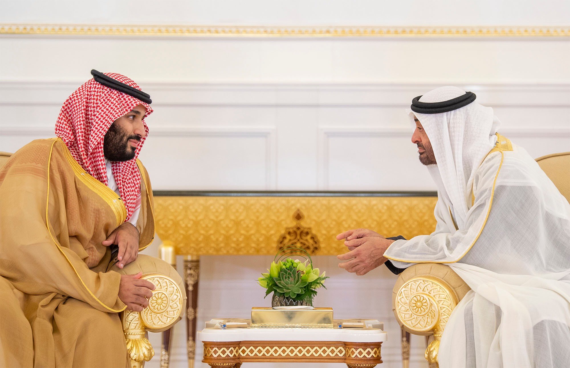 وليي عهد السعودية وابو ظبي
