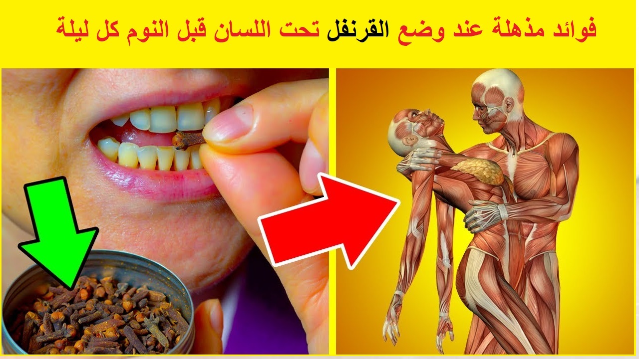 لن تستغني عنها بعد الأن..  فوائد جبارة  وغير متوقعة عند وضع مسمار من القرنفل تحت اللسان قبل النوم كل ليلة ؟