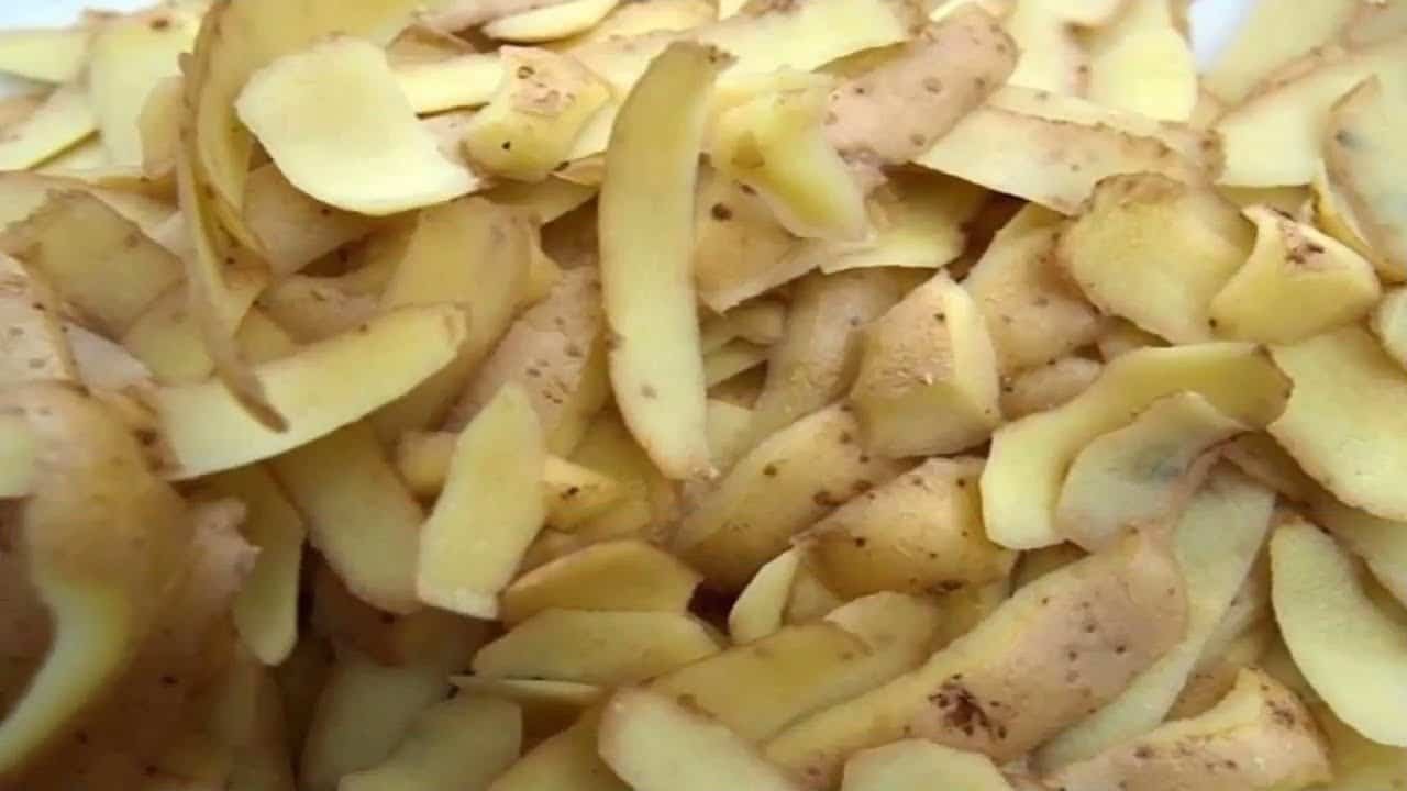 قشر البطاطس