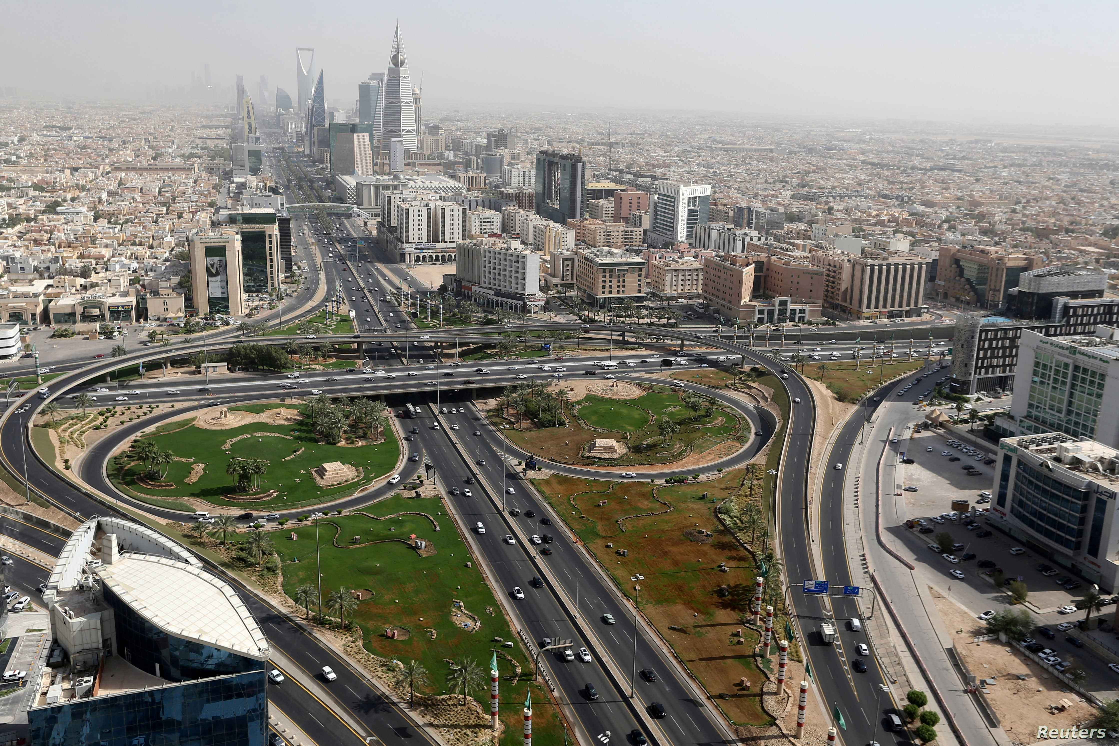 تحذير عاجل لكل السعوديين هذا الفعل الغير مقصود يتسبب بظهور قردة البابون وتفشيهم في مناطق البشر