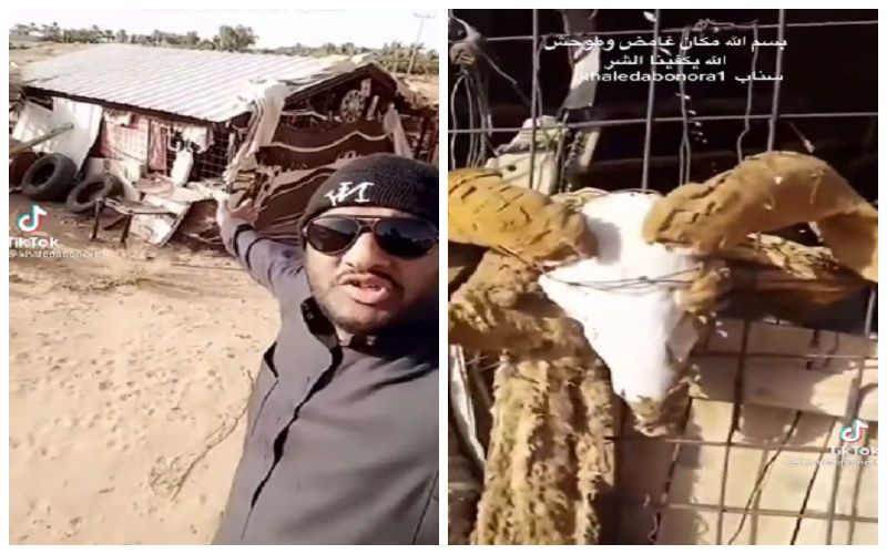صادم: سعودي يعثر على “عشة” مهجورة وسط الصحراء.. وعندما اقترب منها كانت المفاجأة الصادمة !..شاهد