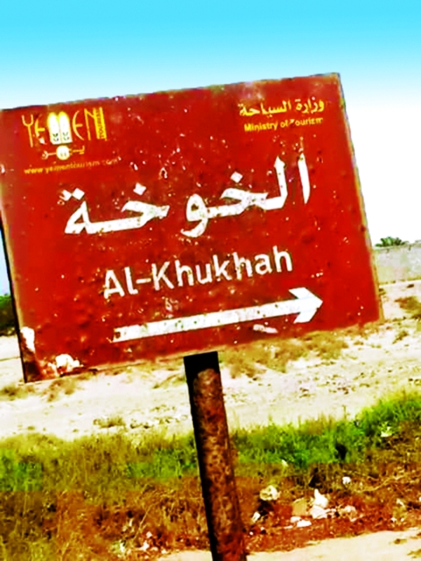 الحديدة