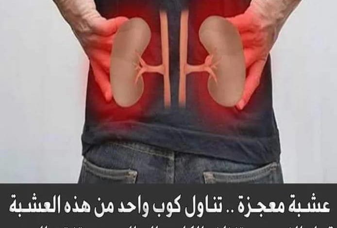 العشبة المعجزة .. تناول كوب واحد من هذه العشبة قبل النوم ستنظف الكلى والحالب وستفتت الحصى