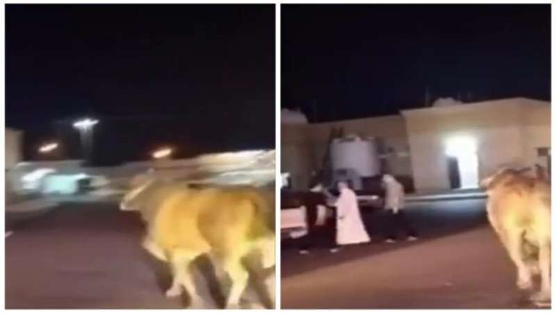 هذا ماحدث في شوارع المدينه المنورة واثار الرعب والهلع وخسائر كبيرة !..شاهد 