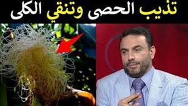 طبيب سعودي يعلن مفاجأة خارقة تكسح الإلتهابات و تدر البول و تفتت الحصى