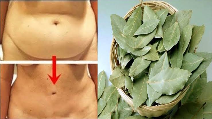  معجزة ورق الغار ستجعل بطنك مسطحاً وشعرك كثيف وناعم خالي من الشيب إذا استخدمته بهذه الطريقة !