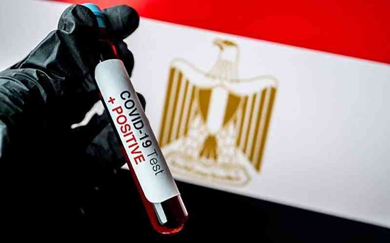 كورونا مصر