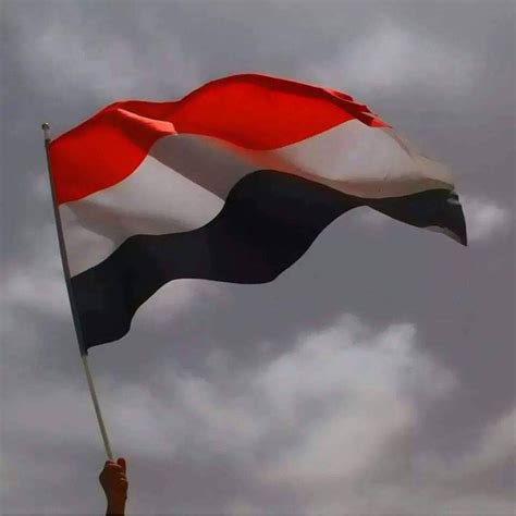 دولة خليجية كبرى تزف مفاجأة سارة لتسعد كافة اليمنين دون إستثناء..تفاصيل 