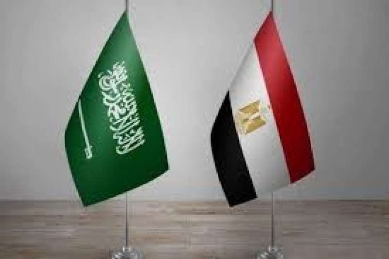 السعودية و مصر يصدران بيان مشترك بشأن مليشيا الحوثي في اليمن