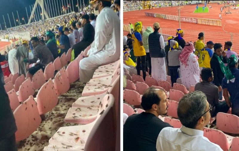 السعودية.. شاهد حشرة غريبة تغزو أحد ملاعب مكة المكرمة وتثير عند الجميع