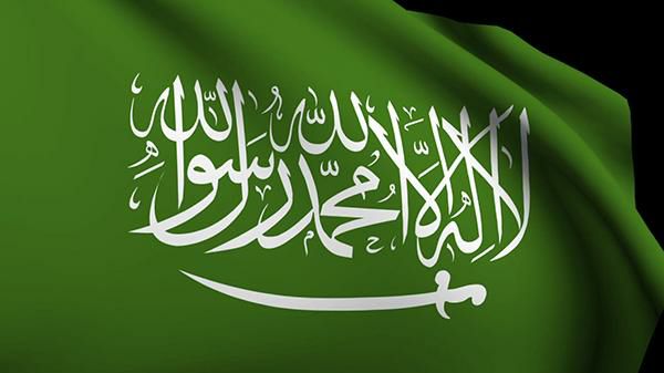 قرار سعودي قرارصارم بمنع السفروغرامة 100 الف ريال لكل مقيم يخرج من المملكة بهذه الطريقة