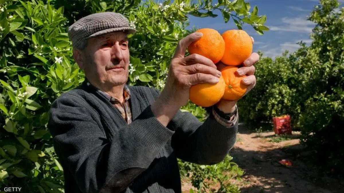 8 فيتامينات ومعادن تحصن جهازك المناعي وتمنحك فوائد خيالية في فصل الشتاء