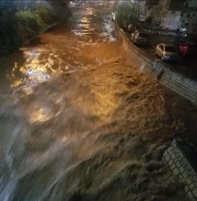 سيول