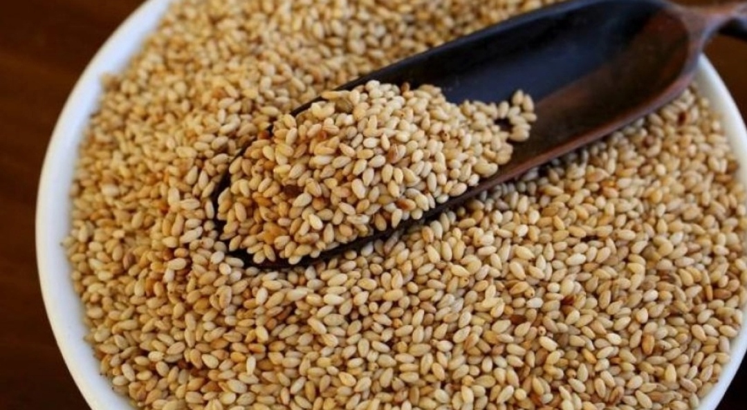 لزيت السمسم اثناء الجماع فوائد اغلى من الذهب و أقوي من الفياجرا .. شاهد الطريقة التي ستغير حياتك 