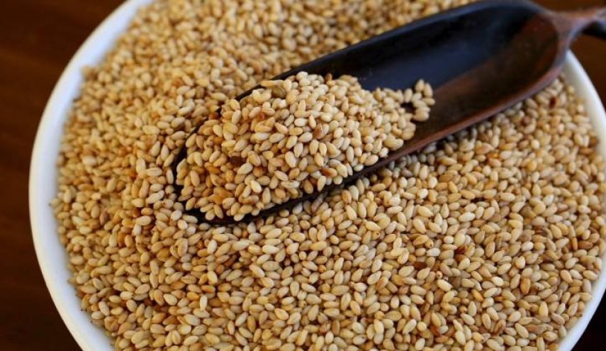نتائج جبارة:  هذا ما يحدث لجسمك عند مضغ بذور السمسم على الريق في الصباح الباكر؟ 