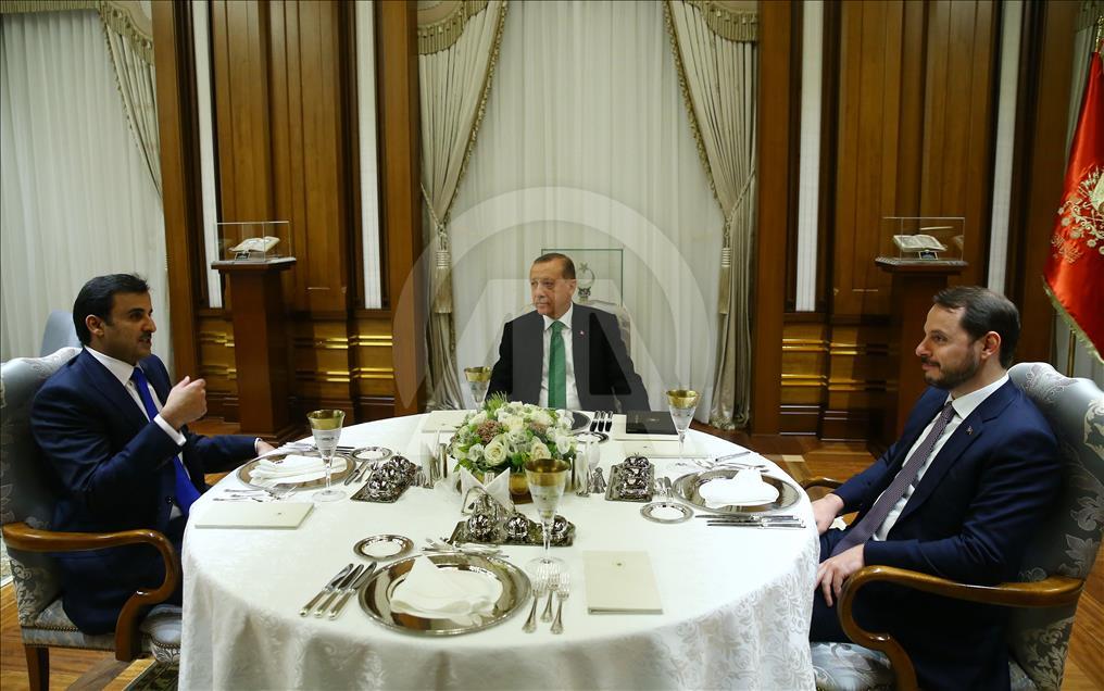 اردوغان وصهره وتميم