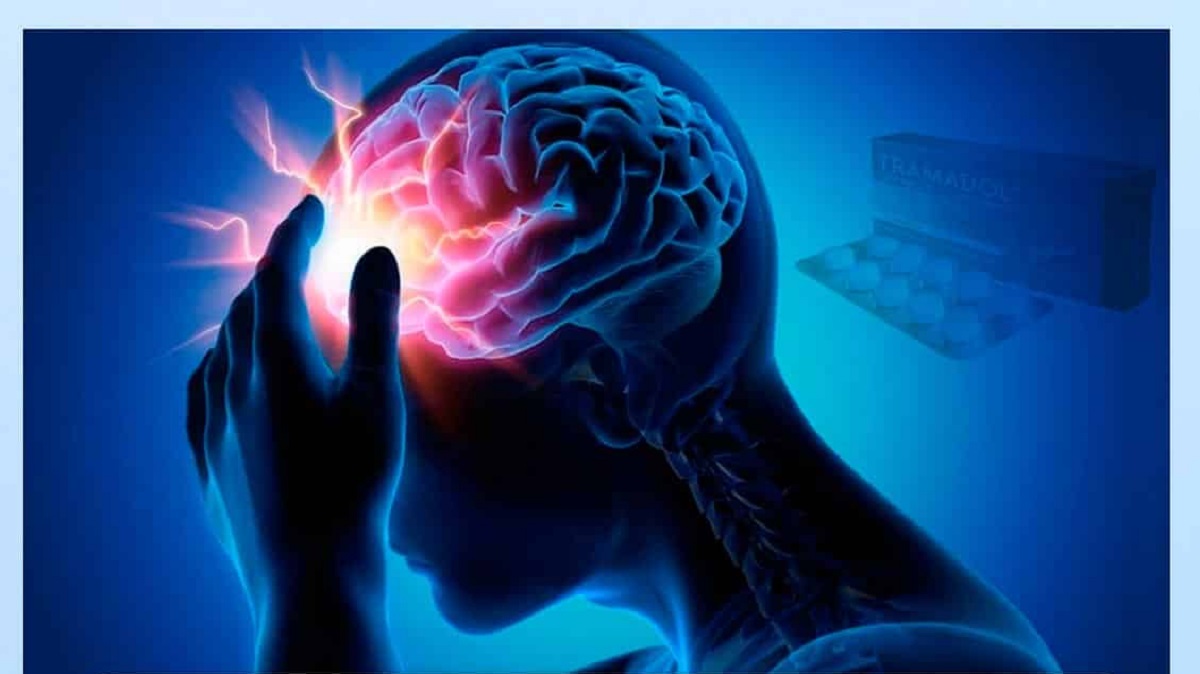 الدماغ