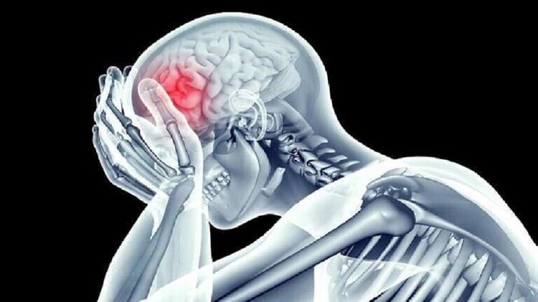  حيرت الطب الحديث .. العشبة المعجزة التي تقوي الذاكرة و التركيز وترجع الشايب شباب خلال فترة قياسية جداً .. ( تعرف عليها )