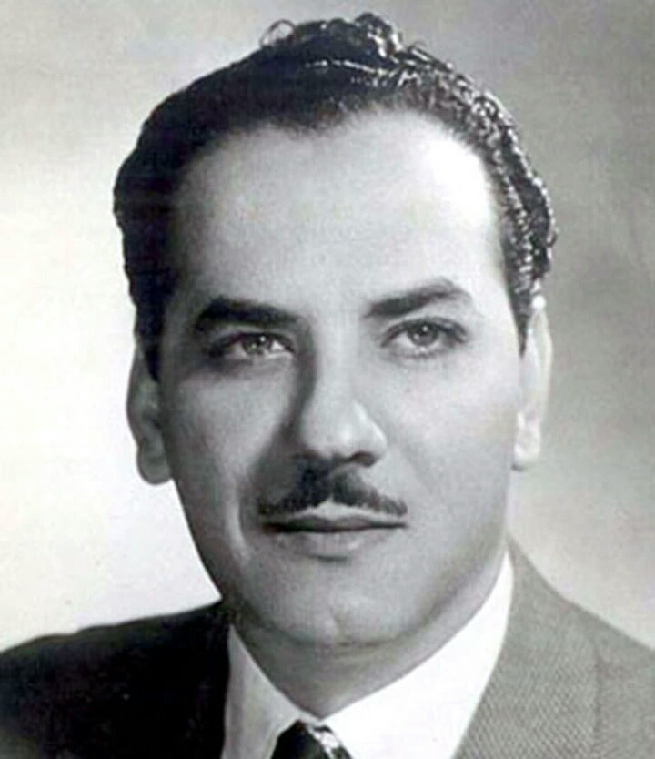  محمد الطوخي