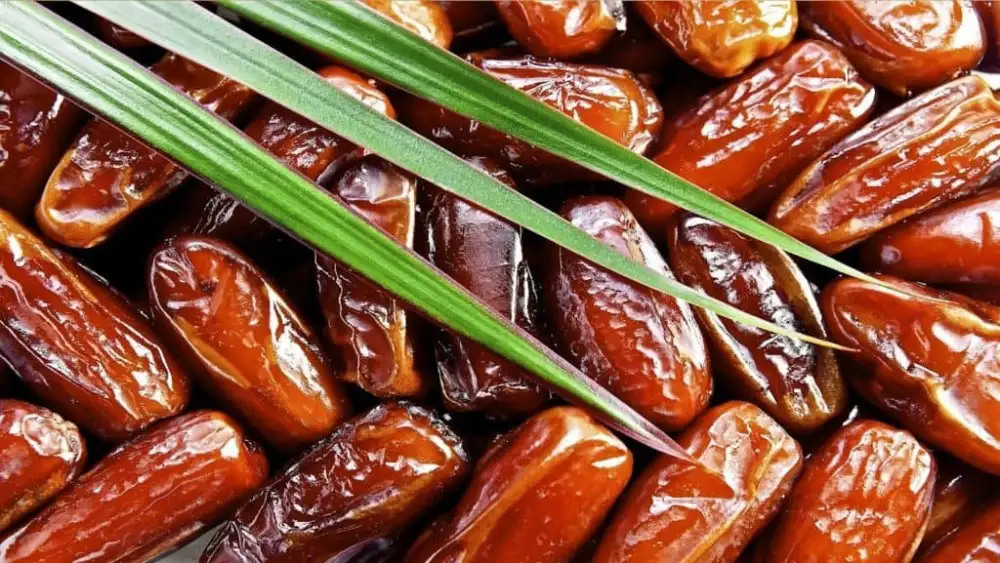 تمر