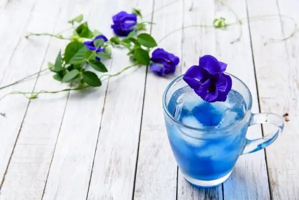 زهرة البازلاء