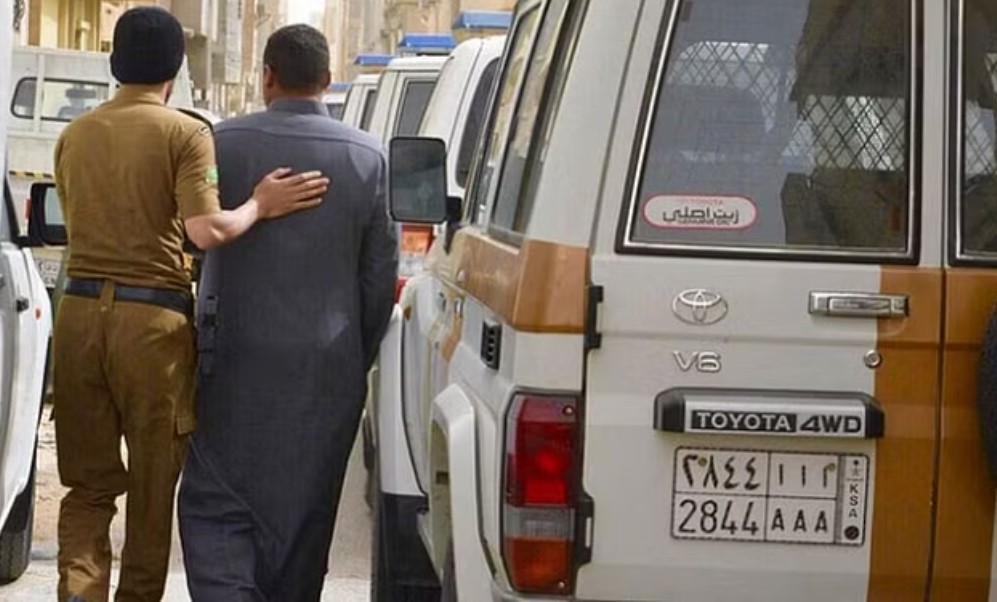 وافدين