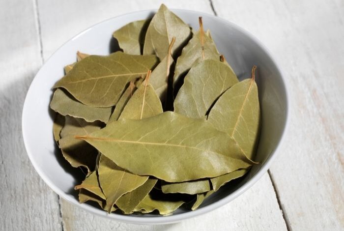 ورق الغار المذهلة تستعيد شبابك مجددا مهما بلغ بك العمر فقط استخدمها بهذه الطريقة 