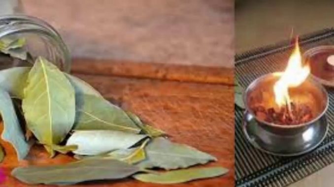 هذا ما سيحدث عند حرق ورق الغار في المنزل كل يوم ؟ .. اغلبكم سيصاب بالدهشة