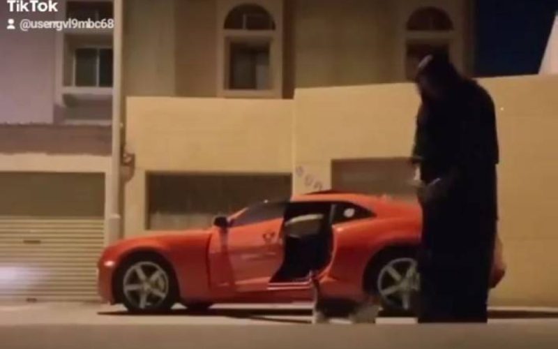 شاهد الفاجعة ..فتاة أرادت إطعام قطة في الشارع وعندما قدمت لها الطعام حدثت المفاجأة !!