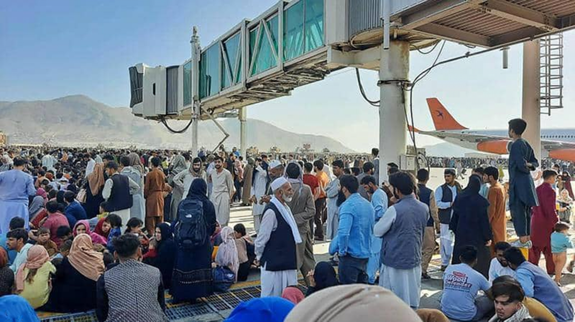 اللاجئين الافغان