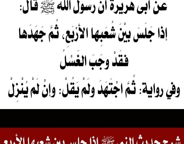 شاهد معنى قول النبي ﷺ إذا جلس بين شُعَبها الأربع، ثم جَهَدها، فقد وجب الغسل وإن لم ينزل