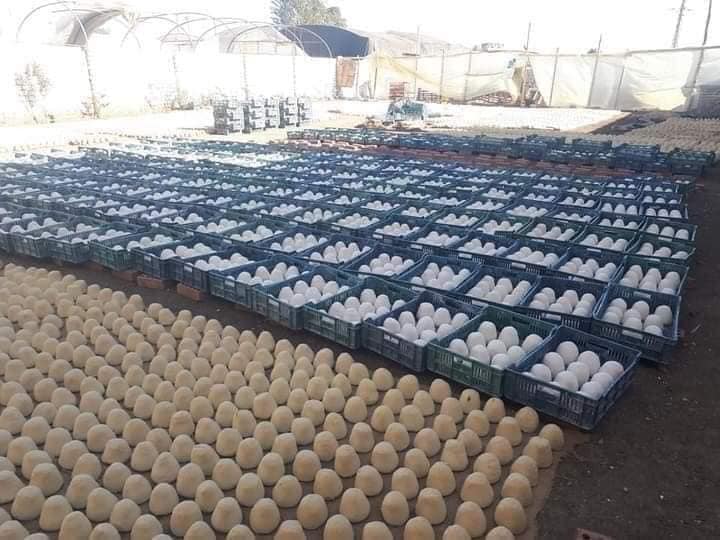  الجبن من معجون الحوائط والجدران