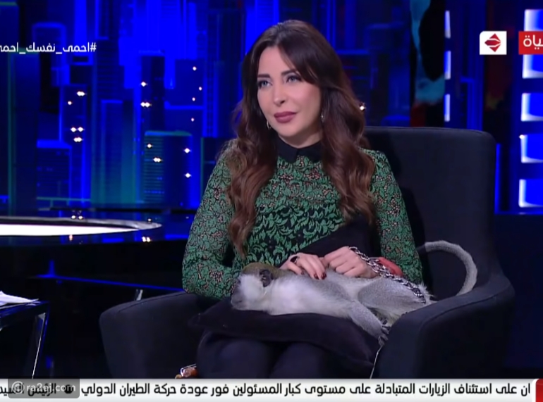 شاهد هجوم مضحك لقرد على مذيعة مصرية على الهواء ولحظة هروبها أمام الجميع