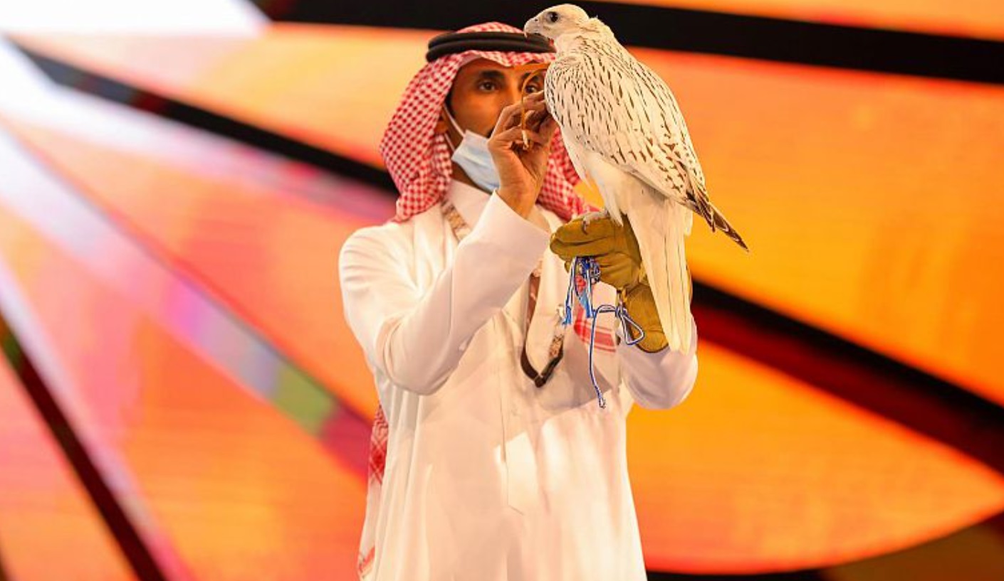 بيع صقرين في السعودية